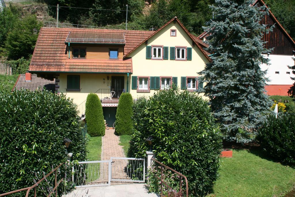 Dani'S Ferienwohnung Freiamt Buitenkant foto